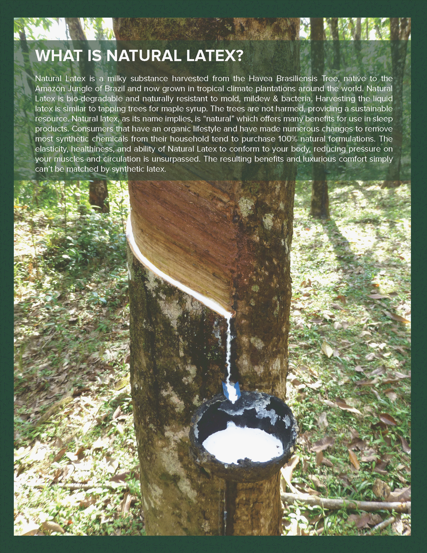 Santee adjustable hospital bed mattresses